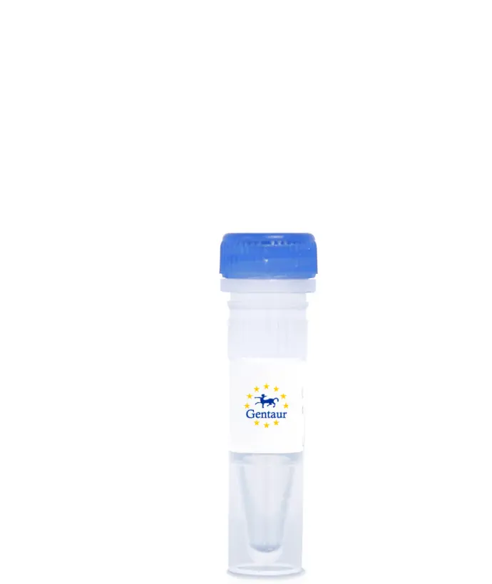Anti-Cholera Toxin A+B Antibody
